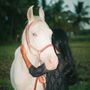 𝐕 𝐆 