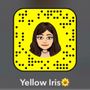 Yellow Iris🌼