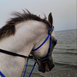 Mohammad 🖤