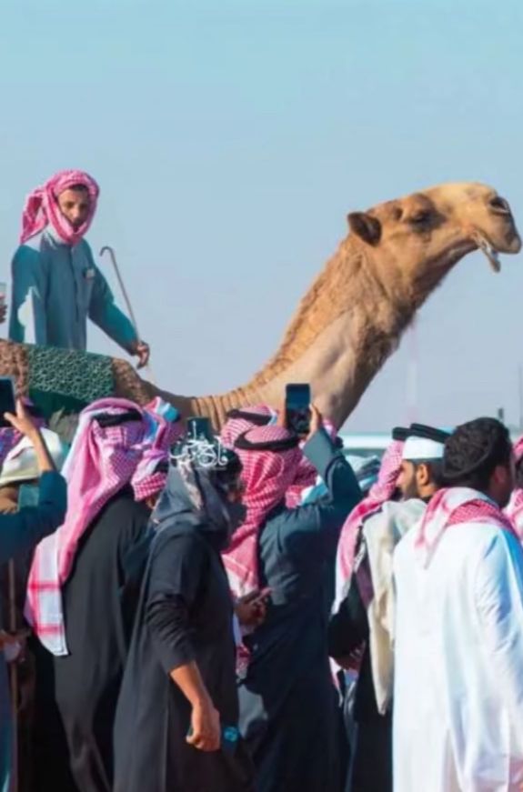 نجم الحيسوني🐪☝🏻عام الأبل2024