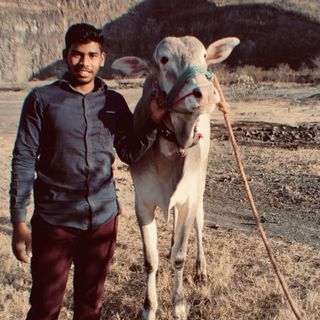 I.M.Patil 👑