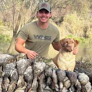 Kade Krause