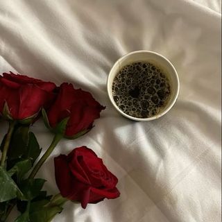 💋🐆