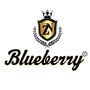 ZN_ Blueberry