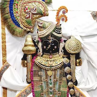 Bhumi Bharvad