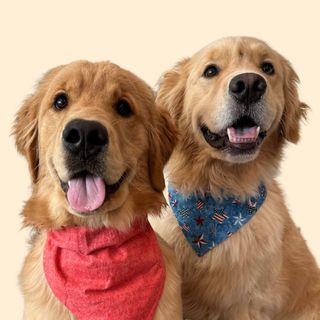 Benny_and_remy