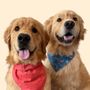 Benny_and_remy