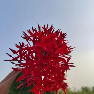 DivyansHimishra
