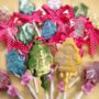 ام فيصل العسيري