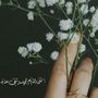 ❤هناااااي❤️🕊