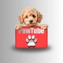 PawTube