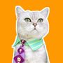 Chef Cat