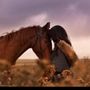 تنسيقات شي ان ترنديول 💕