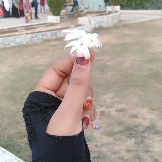 Farheen Sheikh