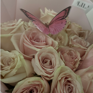 ✨د.أميرة✨