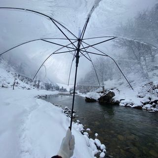 بكر في باكستان 🇸🇦 🇵🇰