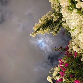 𝐋𝐚𝐢𝐥𝐥𝐚 𝐀’𝐡𝐦𝐚𝐝𝐧𝐚𝐡