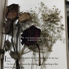 ~ηαηδηί~🌻