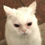 Snapchat profile picture for @yus2is