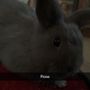 Abby