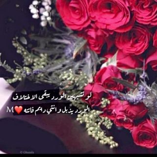 نجمه في سمائى🕊️❤️