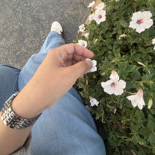 Baiq 🌻