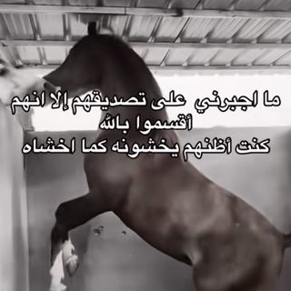 🦋لولو القصيم🦋