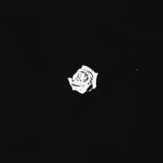 ʎɐz 💫