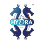 Hydra inc