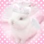 ๑julie๑