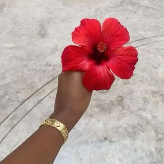 𝐏𝐄𝐍𝐃𝐀 𝐅𝐀𝐘𝐄🌸