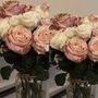shahd11223345