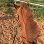 Mohammed S 🐎