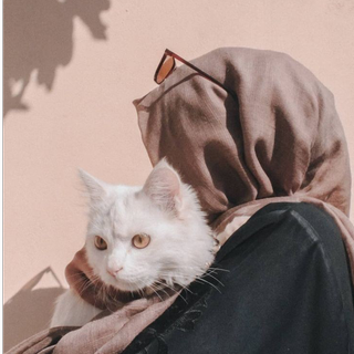 Noor