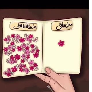 نوفا | قصص واقعية