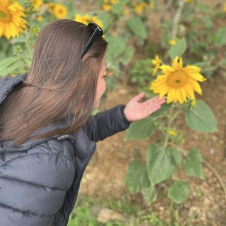 Geeeeeeen 🌻