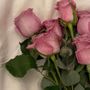 إعلانات الشمال