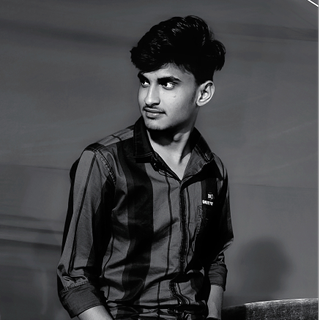 Ankush Meena Gehlot