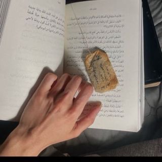 𓃮