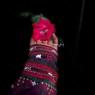 لام بلوچ 🐆