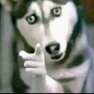 Jalaya 😱