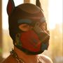 Snapchat profile picture for @midopuppy