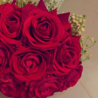 طاغية الأنوثة ⭐️