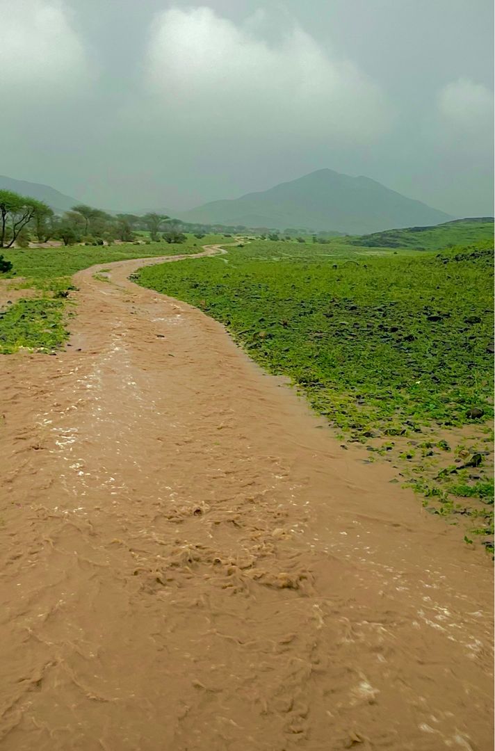 برق النير ⛈🏕⚡️