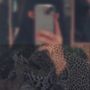 🤎🐆