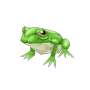 🐸Jules💎