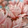 🌸نجوله 🌸Najoola