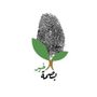 الفجر🌱