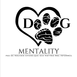 Dogmentality In Tanger 🇲🇦