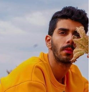 فكتور | طلال مشعل